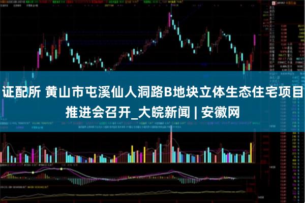 证配所 黄山市屯溪仙人洞路B地块立体生态住宅项目推进会召开_大皖新闻 | 安徽网