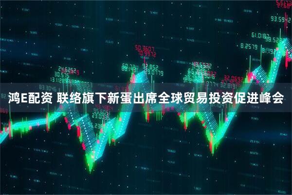 鸿E配资 联络旗下新蛋出席全球贸易投资促进峰会