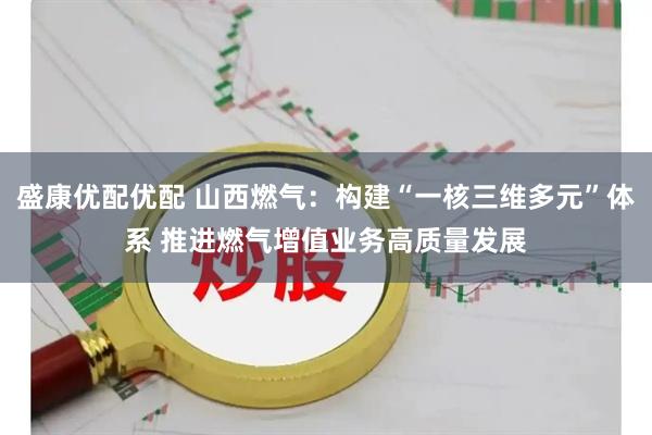 盛康优配优配 山西燃气：构建“一核三维多元”体系 推进燃气增值业务高质量发展