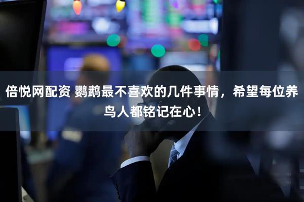 倍悦网配资 鹦鹉最不喜欢的几件事情，希望每位养鸟人都铭记在心！
