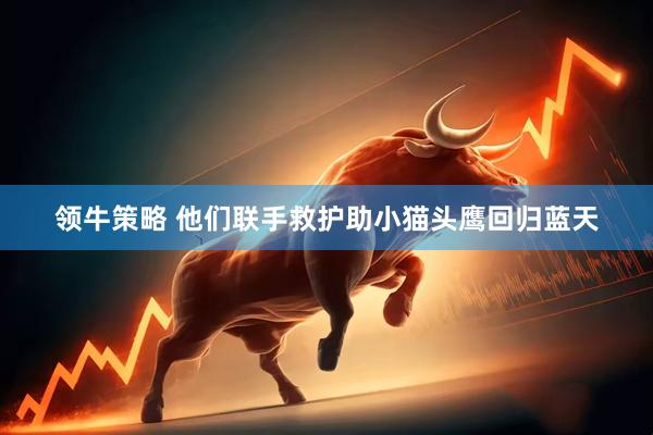 领牛策略 他们联手救护助小猫头鹰回归蓝天