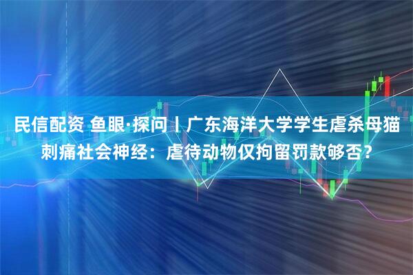 民信配资 鱼眼·探问丨广东海洋大学学生虐杀母猫刺痛社会神经：虐待动物仅拘留罚款够否？