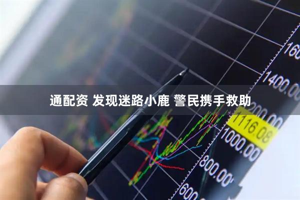 通配资 发现迷路小鹿 警民携手救助