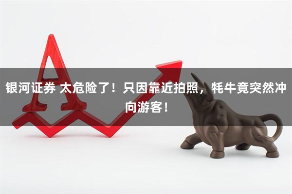 银河证券 太危险了！只因靠近拍照，牦牛竟突然冲向游客！