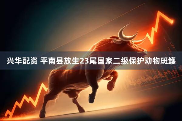 兴华配资 平南县放生23尾国家二级保护动物斑鳠