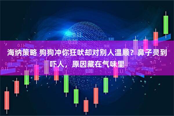 海纳策略 狗狗冲你狂吠却对别人温顺？鼻子灵到吓人，原因藏在气味里