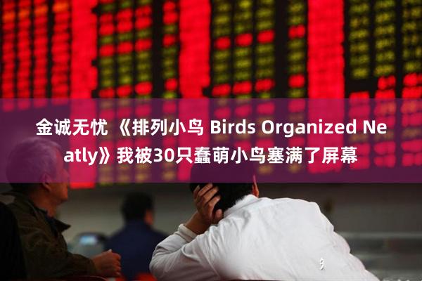 金诚无忧 《排列小鸟 Birds Organized Neatly》我被30只蠢萌小鸟塞满了屏幕