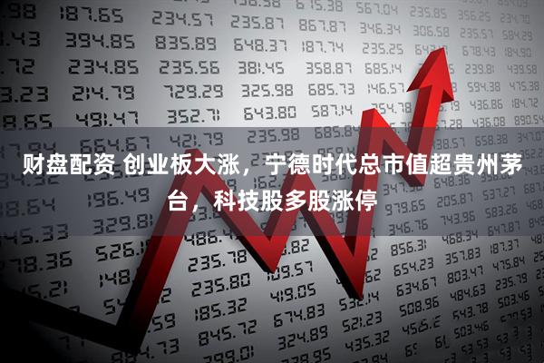 财盘配资 创业板大涨，宁德时代总市值超贵州茅台，科技股多股涨停