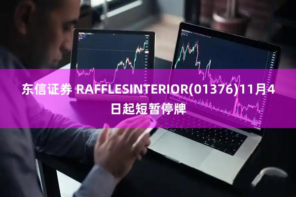 东信证券 RAFFLESINTERIOR(01376)11月4日起短暂停牌