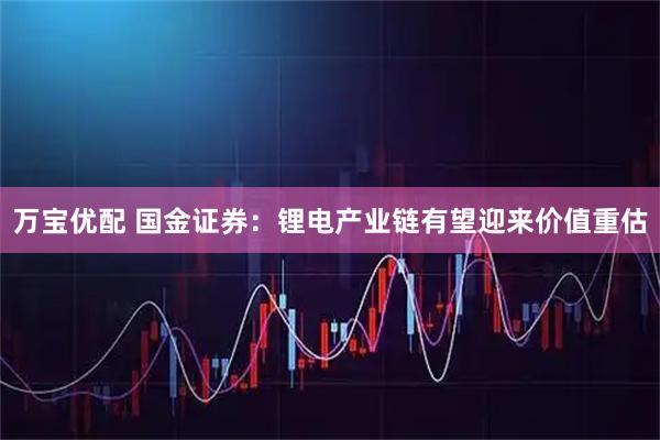 万宝优配 国金证券:锂电产业链有望迎来价值重估