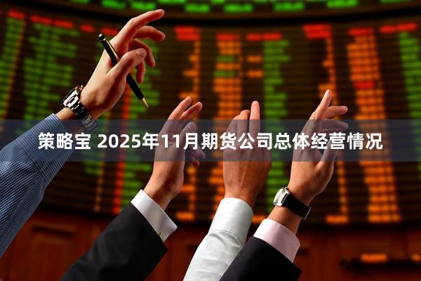 策略宝 2025年11月期货公司总体经营情况